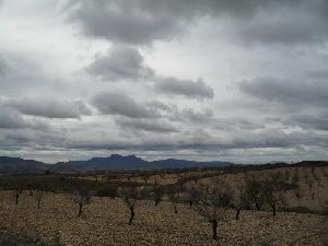 Jumilla property: Land for sale in Jumilla, Murcia 79795