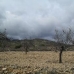 Jumilla property: Beautiful Land for sale in Murcia 79795