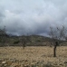 Jumilla property: Beautiful Land for sale in Murcia 79795