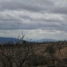 Jumilla property: Jumilla Land, Spain 79796