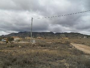 Jumilla property: Land for sale in Jumilla 79797