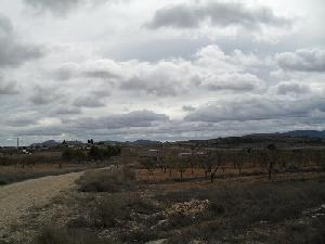 Jumilla property: Land for sale in Jumilla, Spain 79797