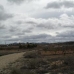 Jumilla property: Jumilla, Spain Land 79797