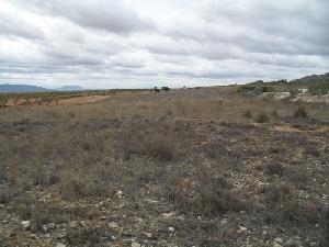 Jumilla property: Land in Murcia for sale 79798