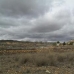 Jumilla property: Jumilla, Spain Land 79798