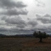 Jumilla property: bedroom Land in Murcia 79798