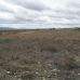 Jumilla property: Land in Jumilla 79798