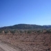 Pinoso property: Pinoso Villa, Spain 79804