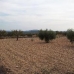 Pinoso property: Pinoso, Spain Land 79806
