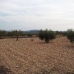 Pinoso property: Pinoso, Spain Land 79806