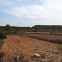 Pinoso property: Land for sale in Pinoso 79809
