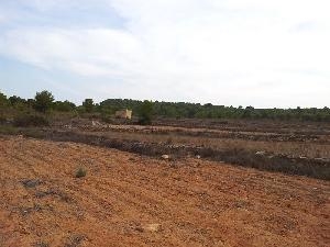 Pinoso property: Land for sale in Pinoso, Spain 79809