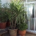 Salinas property: 3 bedroom Townhome in Salinas, Spain 79815