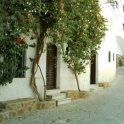 Mojacar property: Commercial for sale in Mojacar 80938