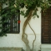 Mojacar property: 9+ bedroom Commercial in Almeria 80938