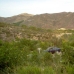 Cantoria property: 3 bedroom Villa in Cantoria, Spain 80975