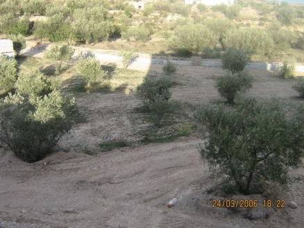 Arboleas&nbsp;property:&nbsp;Villa&nbsp;with&nbsp;4&nbsp;bedroom&nbsp;in&nbsp;Arboleas,&nbsp;Spain&nbsp;80984