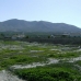 Huercal-Overa property: 3 bedroom Villa in Huercal-Overa, Spain 81002