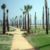 Vera property: Apartment in Almeria 81010