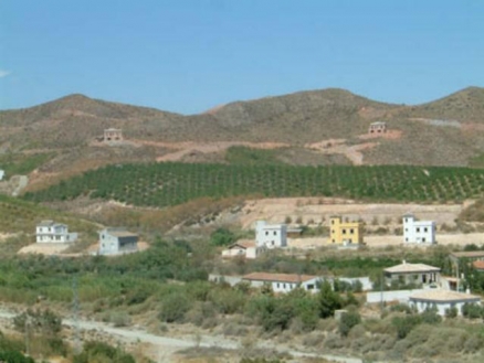 Cantoria property: Villa with 4 bedroom in Cantoria 81041