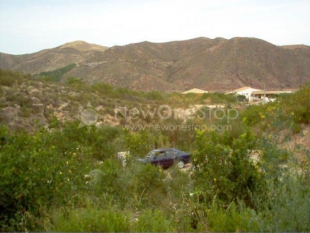Cantoria property: Villa with 3 bedroom in Cantoria 81095