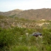 Cantoria property: 3 bedroom Villa in Cantoria, Spain 81095