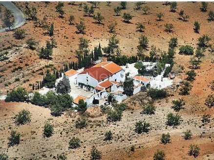 Country&nbsp;Property&nbsp;for&nbsp;sale&nbsp;in&nbsp;town,&nbsp;Almeria&nbsp;81121