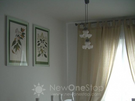 Almeria Townhome 81144