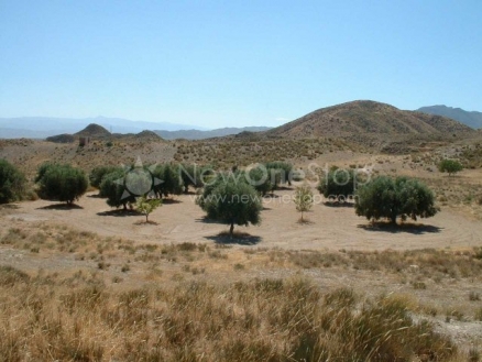 Almeria property | 5 bedroom Villa 81179