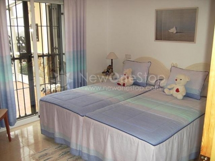 town Villa 81216