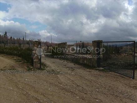 Velez-Rubio property: Villa for sale in Velez-Rubio, Spain 81229