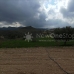 Velez-Rubio property: Almeria Villa, Spain 81229