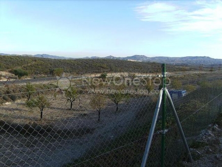 Finca with 3 bedroom in town 81253