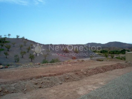 Albox&nbsp;property:&nbsp;Albox&nbsp;Villa&nbsp;81292