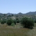 town Villa, Spain 81302