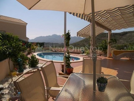 town&nbsp;Villa&nbsp;81303