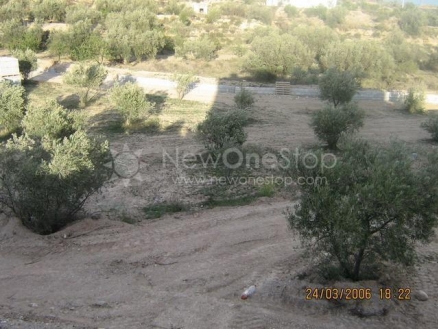 Arboleas property: Villa with 4 bedroom in Arboleas, Spain 81306