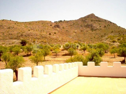 Oria property: Villa with 4 bedroom in Oria, Spain 81312