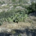 Antas property: Beautiful Country Property for sale in Antas 81325