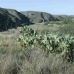 Antas property: Beautiful Country Property for sale in Almeria 81325