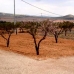 Raspay property: 3 bedroom Villa in Murcia 82178
