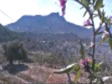 Finca with 4 bedroom in town 82208