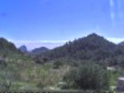 Finca in Alicante for sale 82208