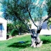 Nerja property: Nerja, Spain Villa 82758