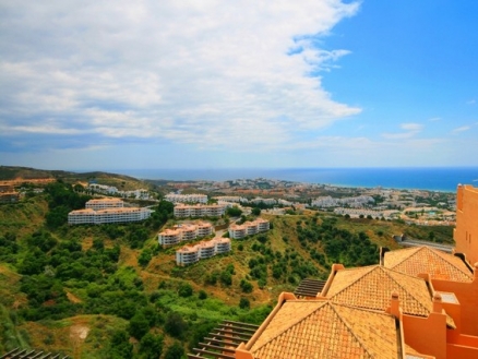 Calahonda property: Apartment for sale in Calahonda 83077