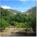 Lanjaron property: Farmhouse in Granada 83276