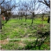 Beautiful Farmhouse for sale in Granada 83279
