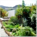 Lanjaron property: Lanjaron, Spain Farmhouse 83282