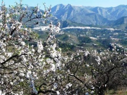 &nbsp;4&nbsp;bedroom&nbsp;Villa&nbsp;85834