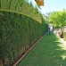 Denia property: Villa in Alicante 89142